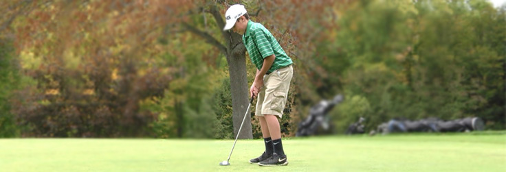 Wellsboro Golf Team Places 6th