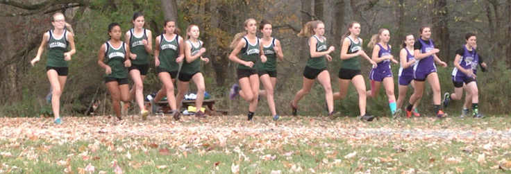 Wellsboro XC sweeps Coudy