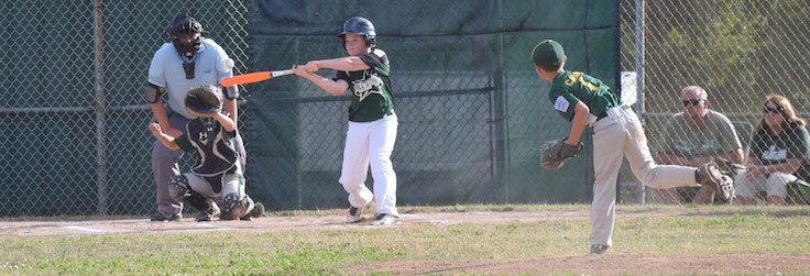 Roosevelt Trail tops Wellsboro Little League All-Stars