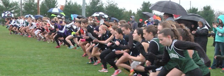 NTL Schools run well at District Championships