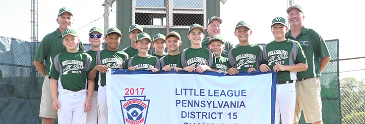 Little League District Champs!