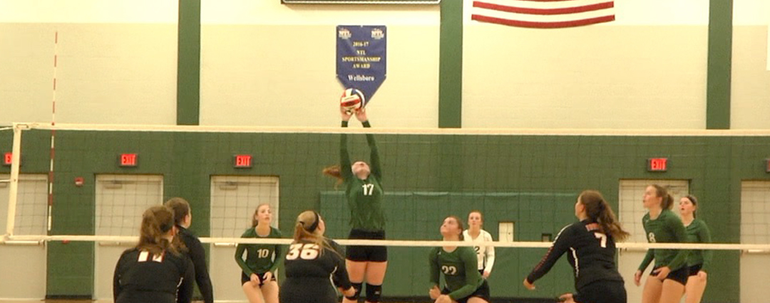 Lady Hornets sweep Towanda