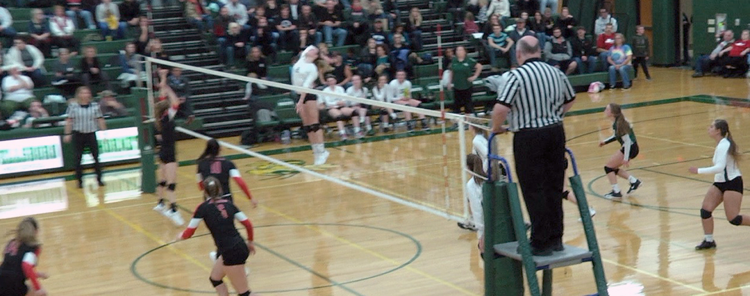 Liberty volleyball tops Wellsboro, 3-1