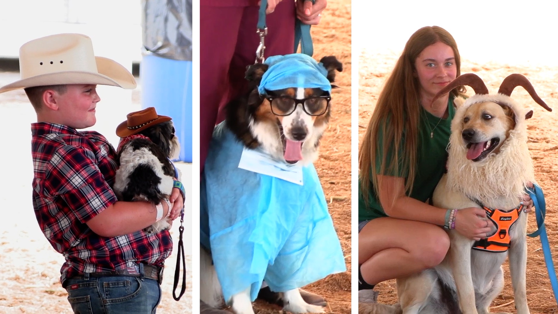 Fabulous Furry Friends at the Troy Fair!